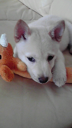 ◆みさきのゑ「HAPPYになるブログ』占いは幸せになるためのツール