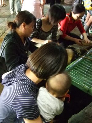 金活で金運アップ●満月お財布「フリフリーゼ」-銭洗