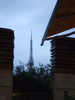 金活で金運アップ●満月お財布「フリフリーゼ」のブログ-東京タワー