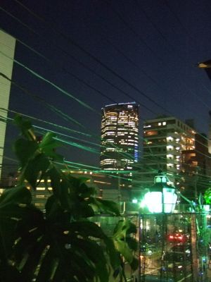 ◆みさきのゑ「HAPPYになるブログ』占いは幸せになるためのツール-ヒルズ