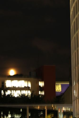 金活で金運アップ●満月お財布「フリフリーゼ」のブログ