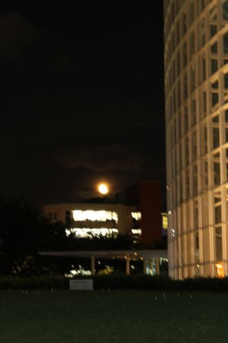 金活で金運アップ●満月お財布「フリフリーゼ」のブログ