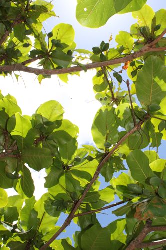 ◆みさきのゑ「HAPPYになるブログ』占いは幸せになるためのツール