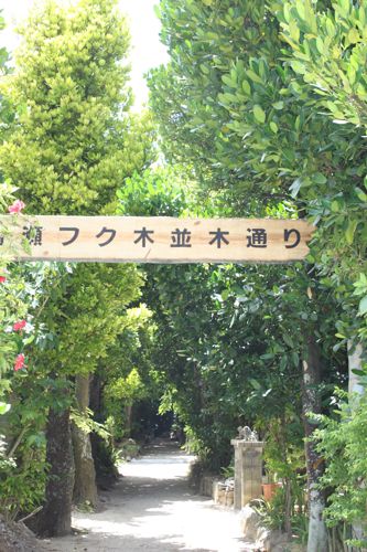 ◆みさきのゑ「HAPPYになるブログ』占いは幸せになるためのツール