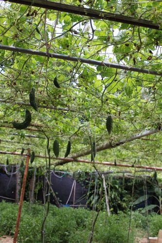 ◆みさきのゑ「HAPPYになるブログ』占いは幸せになるためのツール