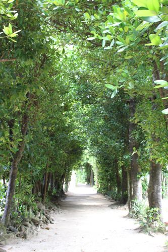 ◆みさきのゑ「HAPPYになるブログ』占いは幸せになるためのツール-備瀬