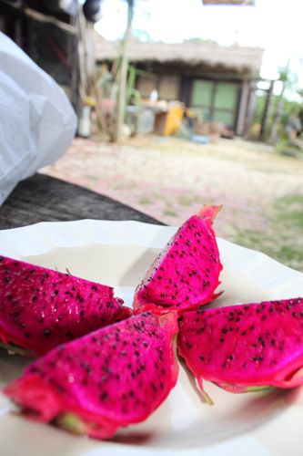 ◆みさきのゑ「HAPPYになるブログ』占いは幸せになるためのツール-ドラゴン