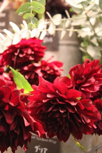 ◆みさきのゑ「HAPPYになるブログ』占いは幸せになるためのツール