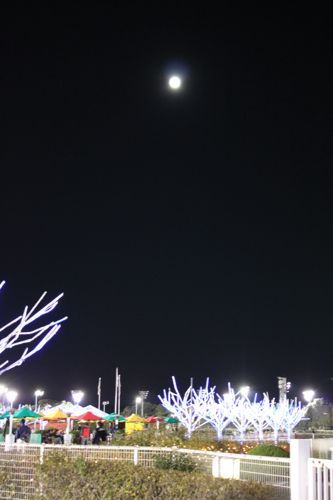 ★みさきのゑ【占いは幸せになるためのツール】HAPPYになるブログ-満月