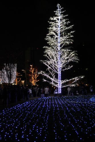 ★みさきのゑ【占いは幸せになるためのツール】HAPPYになるブログ