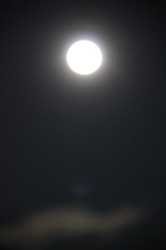 ★みさきのゑ【占いは幸せになるためのツール】HAPPYになるブログ