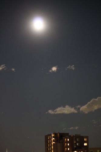 ★みさきのゑ【占いは幸せになるためのツール】HAPPYになるブログ