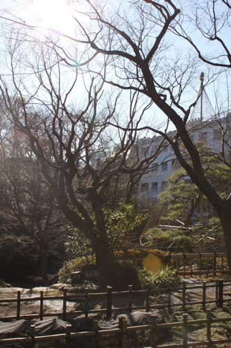 ★みさきのゑ【占いは幸せになるためのツール】HAPPYになるブログ