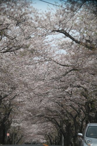 ★みさきのゑ【占いは幸せになるためのツール】HAPPYになるブログ-トンネル
