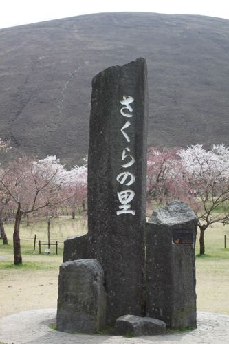 ★みさきのゑ【占いは幸せになるためのツール】HAPPYになるブログ-さくらの里