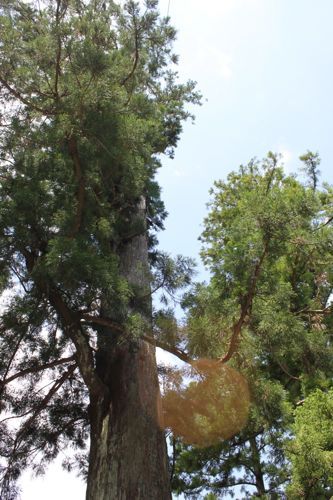 ★みさきのゑ【占いは幸せになるためのツール】HAPPYになるブログ-パワースポット