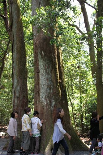 ★みさきのゑ【占いは幸せになるためのツール】HAPPYになるブログ-パワー