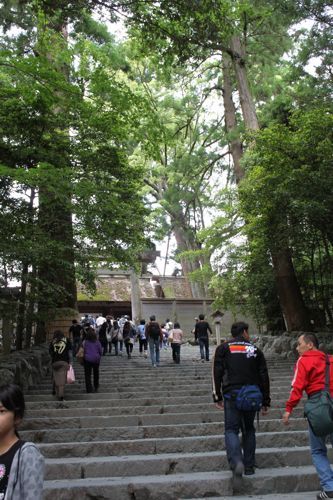 ★みさきのゑ【占いは幸せになるためのツール】自己分析のために占いを！-御正宮