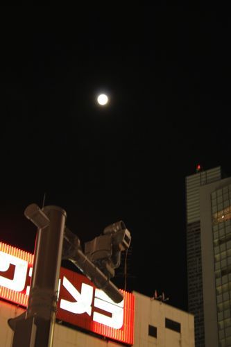 ★みさきのゑ【占いは幸せになるためのツール】HAPPYになるブログ-満月