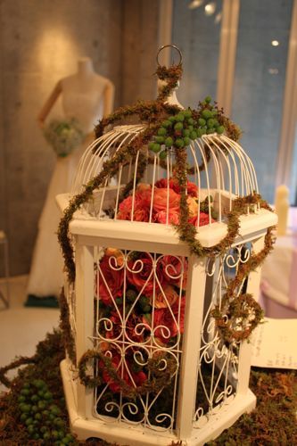 占いは幸せになるためのツール　みさきのゑHAPPYになるブログ-鳥かご