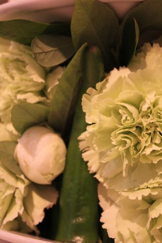 占いは幸せになるためのツール　みさきのゑHAPPYになるブログ-唐辛子