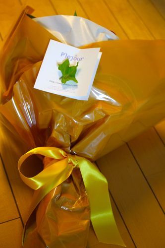 占いは幸せになるためのツール　みさきのゑHAPPYになるブログ-花