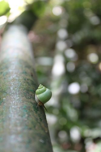 占いは幸せになるためのツール　みさきのゑHAPPYになるブログ