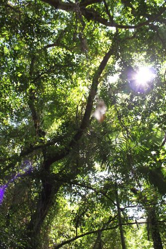 占いは幸せになるためのツール　みさきのゑHAPPYになるブログ