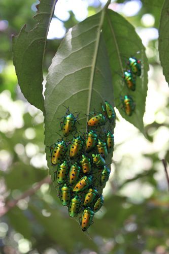 占いは幸せになるためのツール　みさきのゑHAPPYになるブログ