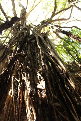 占いは幸せになるためのツール　みさきのゑHAPPYになるブログ