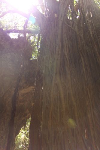 占いは幸せになるためのツール　みさきのゑHAPPYになるブログ