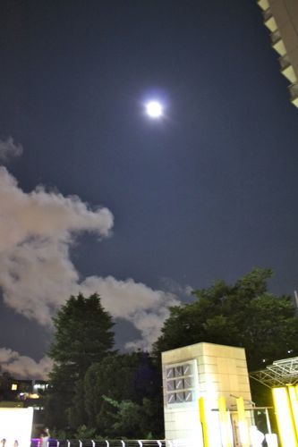 みさきのゑHAPPYになるブログ 占いは幸せになるためのツール　-ブルームーン