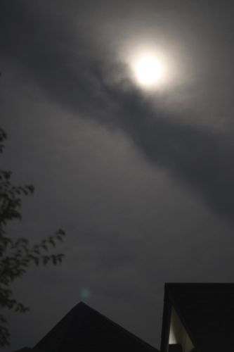 みさきのゑHAPPYになるブログ-伊豆の月