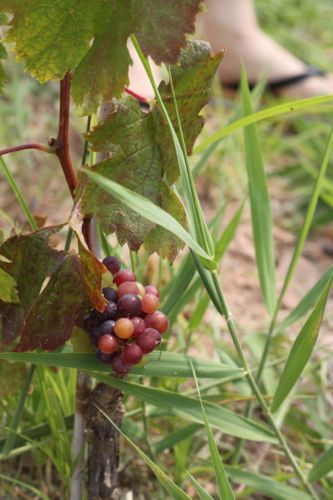 みさきのゑHAPPYになるブログ