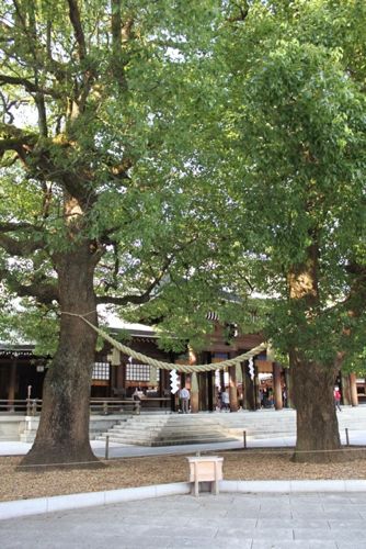 金活で金運アップ●満月お財布「フリフリーゼ」のブログ-夫婦