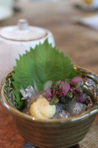 金活で金運アップ●満月お財布「フリフリーゼ」のブログ-しらす