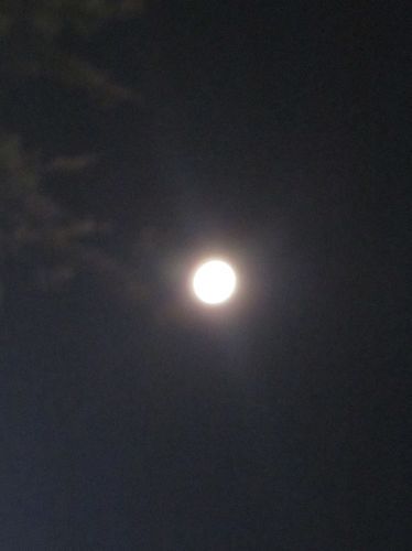 みさきのゑHAPPYになるブログ