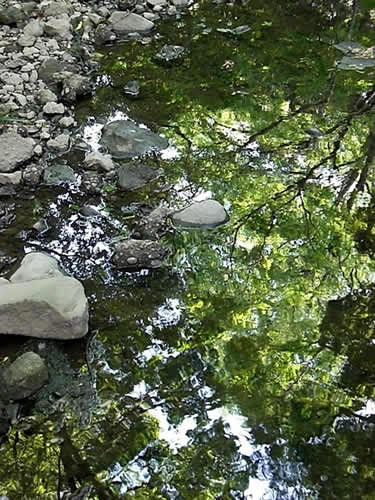 等々力渓谷パワースポット