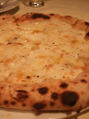 ★みさきのゑ【占いは幸せになるためのツール】自己分析のために占いを！-ゴルゴンゾーラ