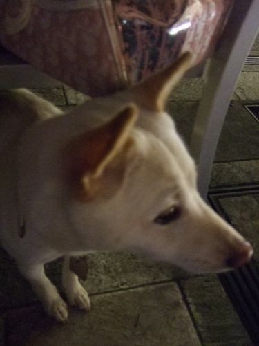 ★みさきのゑ【占いは幸せになるためのツール】HAPPYになるブログ-くら