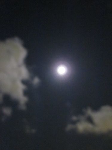 占いは幸せになるためのツール　みさきのゑHAPPYになるブログ-中秋の名月＆満月