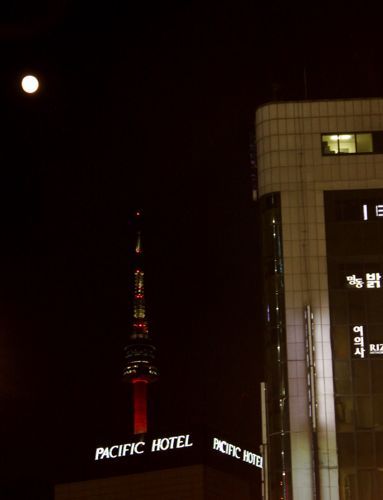 ★みさきのゑ【占いは幸せになるためのツール】自己分析のために占いを！