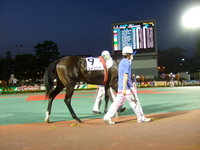 ◆みさきのゑ「HAPPYになるブログ』占いは幸せになるためのツール-ユメ