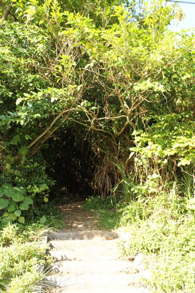 ◆みさきのゑ「HAPPYになるブログ』占いは幸せになるためのツール-西ビジュル