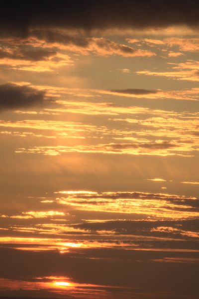 ◆みさきのゑ「HAPPYになるブログ』占いは幸せになるためのツール