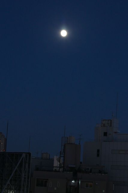 みさきのゑHAPPYになるブログ-月