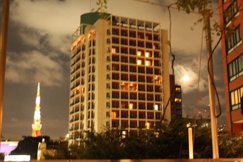 ◆みさきのゑ「HAPPYになるブログ』占いは幸せになるためのツール