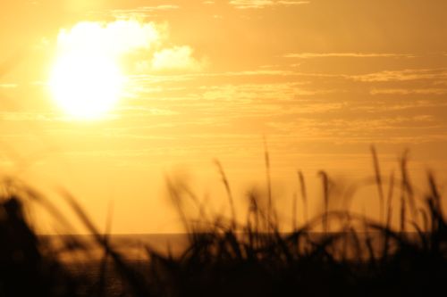 ◆みさきのゑ「HAPPYになるブログ』占いは幸せになるためのツール