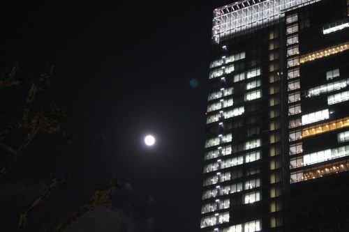 ★みさきのゑ【占いは幸せになるためのツール】HAPPYになるブログ-満月