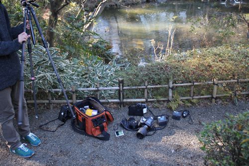 ★みさきのゑ【占いは幸せになるためのツール】HAPPYになるブログ